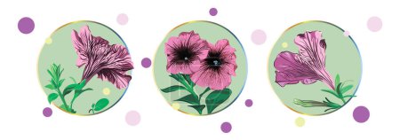 Photo for Set of cards with petunia flowers isolated in a green circle on a white background with colorful dots. Green leaves, opened buds, closed buds, lilac and pink flowers. Vector illustration. Vintag - Royalty Free Image