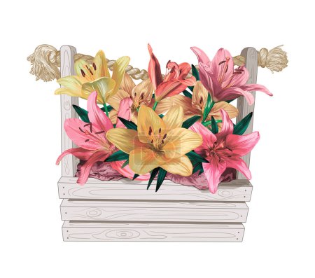 Photo for Pink and yellow lilies in a light wooden basket on a white background. vector illustration - Royalty Free Image