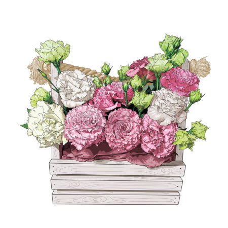 Photo for Bouquet of pink and cream eustomas in a basket on a white background. hand drawing. realistic vector illustration - Royalty Free Image