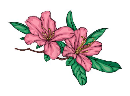 Photo for Flowering branch of rhododendron, hibiscus, chinese rose with flowers and leaves. color vector illustration - Royalty Free Image
