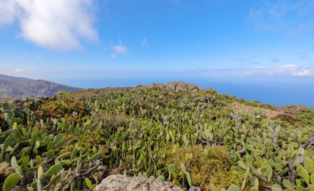 Foto de Vistas del paisaje durante una caminata por el Parque Rural Teno, en el norte de Tenerife, Islas Canarias. - Imagen libre de derechos