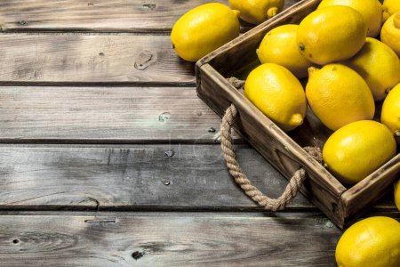 Fresh lemons in the tray. On wooden background
