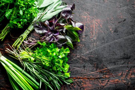 Healthy food. A variety of fresh herbs. On dark rustic background Poster 657857146