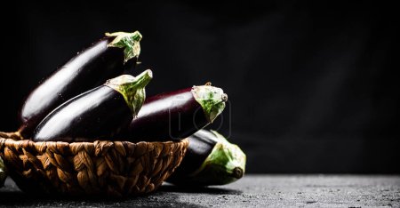 Photo for A full basket of fresh eggplant on the table. On a black background. High quality photo - Royalty Free Image