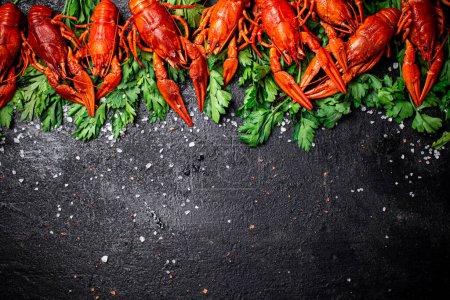 Boiled crayfish with parsley. On a black background. High quality photo