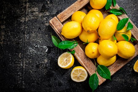 Lemons with leaves on a wooden tray. On a black background. High quality photo
