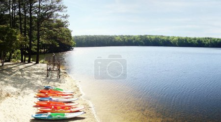 Foto de Colorful kayaks on the shore of Lake Johnson, a popular city park in Raleigh North Carolina - Imagen libre de derechos