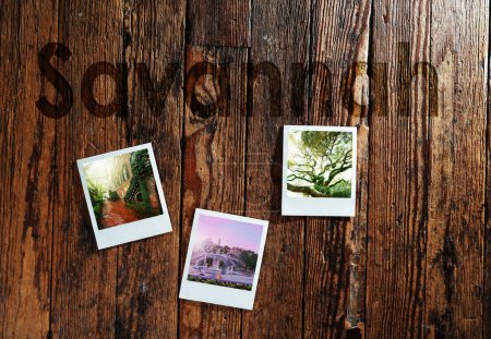 Photo for Retro instant camera images from Savannah on hardwood background with text - Royalty Free Image