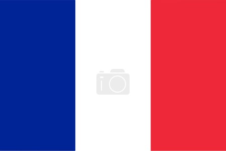 France flag and language icon - isolated vector illustration