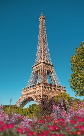Photo for Eiffel Tower Full Detail Spring - Royalty Free Image