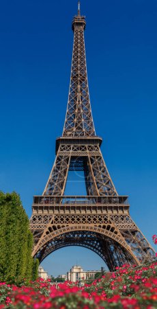 Photo for Eiffel Tower Full Detail - Royalty Free Image