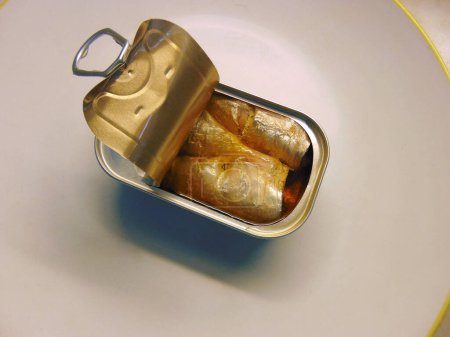 canned sardines closeup photo