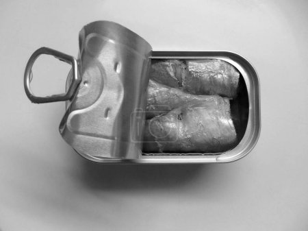 canned sardines in black and white