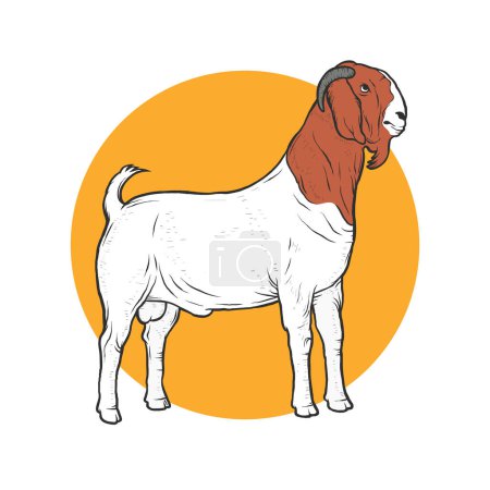 Illustration vectorielle de la chèvre bovine mâle. Convient pour l'élément de conception de l'élevage et de la ferme de chèvres boers.