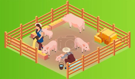 Téléchargez les illustrations : Isometric vector of a pig farm and farmenrs with pink growing piglets being fed - en licence libre de droit
