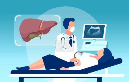 Illustration for Vector of a female patient in a clinic getting ultrasonography exam of the liver - Royalty Free Image