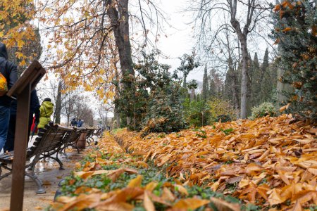 Téléchargez les photos : Generalife célèbre vue sur les jardins avec des feuilles d'automne orange sur herbe verte - en image libre de droit