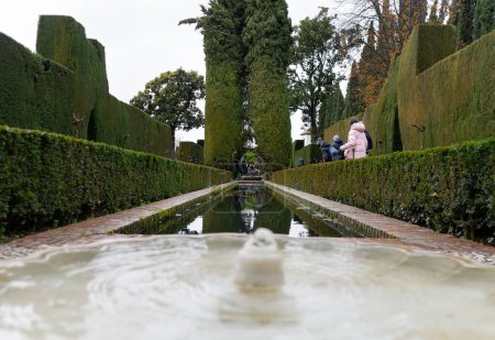 Téléchargez les photos : Fontes de jardin Generalife et petits buissons avec touristique - en image libre de droit