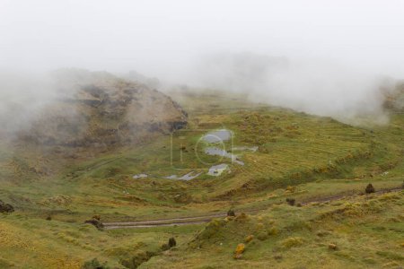 Foto de An andean bar land swamp landscape with sand road at colombian paramo - Imagen libre de derechos