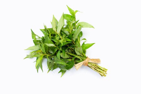 Photo for Vietnamese coriander leaves on white background. - Royalty Free Image
