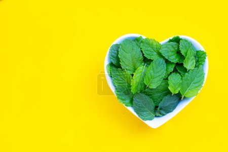 Photo for Mint leaves on yellow background. - Royalty Free Image