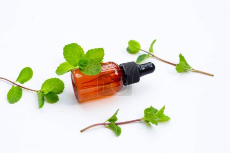 Photo for Fresh mint leaves with essential oil - Royalty Free Image