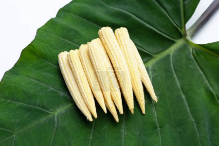 Photo for Baby corn on taro leaf - Royalty Free Image