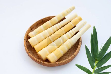 Bamboo shoots on white background.