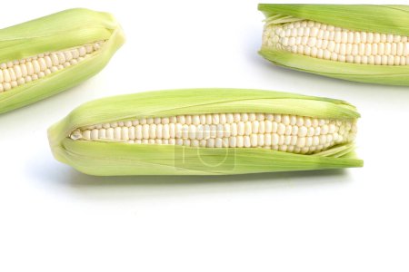 Téléchargez les photos : Hokkaido milk corn on white background. - en image libre de droit
