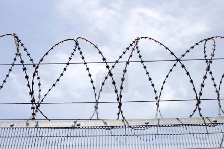 Foto de Barbed wires against sky. Wired fence - Imagen libre de derechos