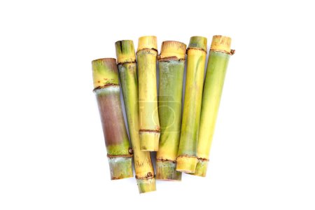 Téléchargez les photos : Sugar cane on blue background. - en image libre de droit