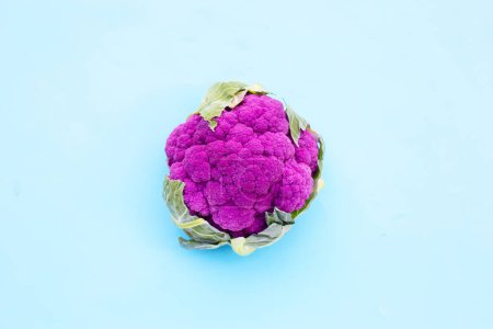 Photo for Purple cauliflower on blue background. - Royalty Free Image