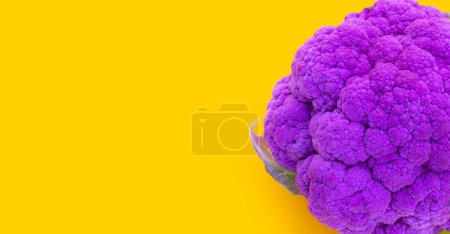 Foto de Purple cauliflower on yellow background. - Imagen libre de derechos