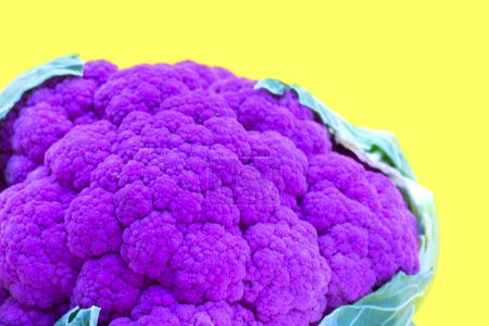 Photo for Purple cauliflower on yellow background. - Royalty Free Image