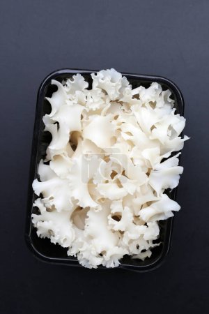Photo for Cauliflower mushroom or cauliflower fungus - Royalty Free Image