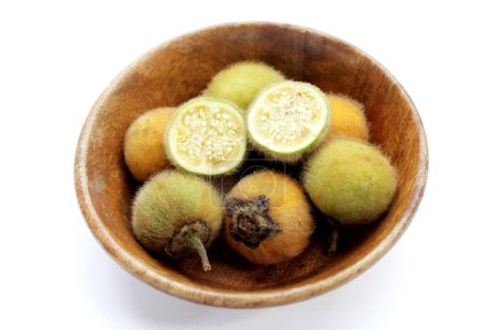 Téléchargez les photos : Aubergine poilue, Solanum stramonifolium Jacq - en image libre de droit