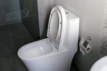 Téléchargez les photos : Bol de toilette en céramique blanche dans la salle de toilettes - en image libre de droit