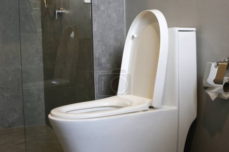Téléchargez les photos : Bol de toilette en céramique blanche dans la salle de toilettes - en image libre de droit