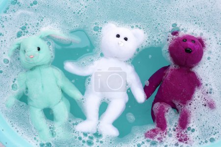 Téléchargez les photos : Faire tremper la poupée d'ours en peluche dans un détergent à lessive avant de la laver. Concept blanchisserie, Vue dessus - en image libre de droit