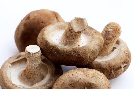 Photo for Fresh shiitake mushrooms on white background. - Royalty Free Image