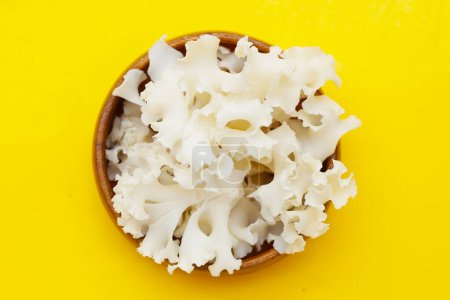Cauliflower mushroom or cauliflower fungus