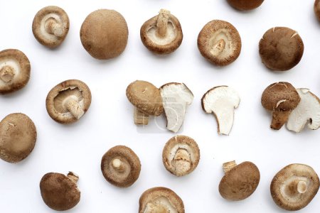 Photo for Fresh shiitake mushrooms on white background. - Royalty Free Image