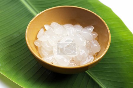 Semillas de palma de azúcar en almíbar