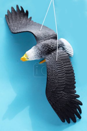 Fake eagle for bird repeller