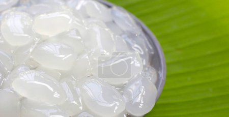 Semillas de palma de azúcar en almíbar