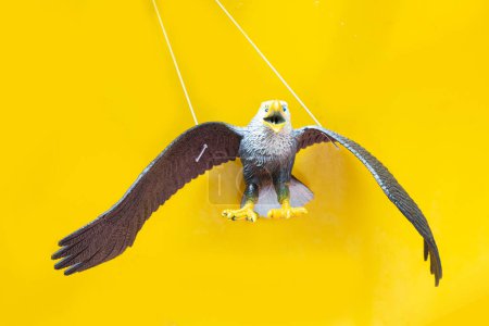 Téléchargez les photos : Faux aigle pour répulsif à oiseaux - en image libre de droit