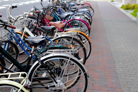 Un groupe de vélos alignés en rang sur le trottoir.