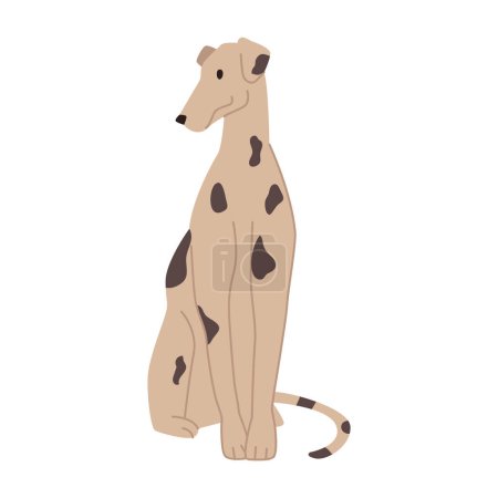 Dalmatian domestic pet with spots on furry coat. Isolated dog personage portrait of puppy. Canine animals, mammal with long tail. Vector in flat style