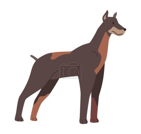 Ilustración de Gran raza danesa de un animal canino, perro curioso aislado mirando a un lado. Retrato de cachorro, mascota doméstica. Mamífero juguetón y lindo. Vector en estilo plano - Imagen libre de derechos