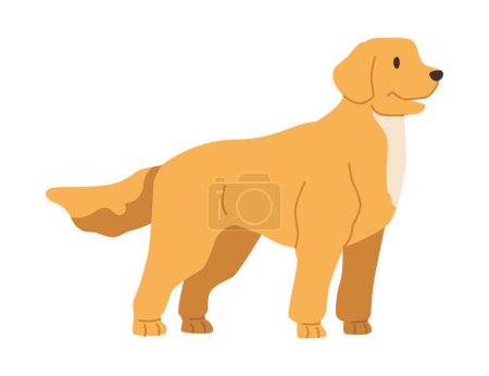 Téléchargez les illustrations : Labrador Retriever chiot agitant la queue et regardant de côté. Caractère curieux et joyeux, portrait de chien. Animal domestique canin. Vecteur en style plat - en licence libre de droit